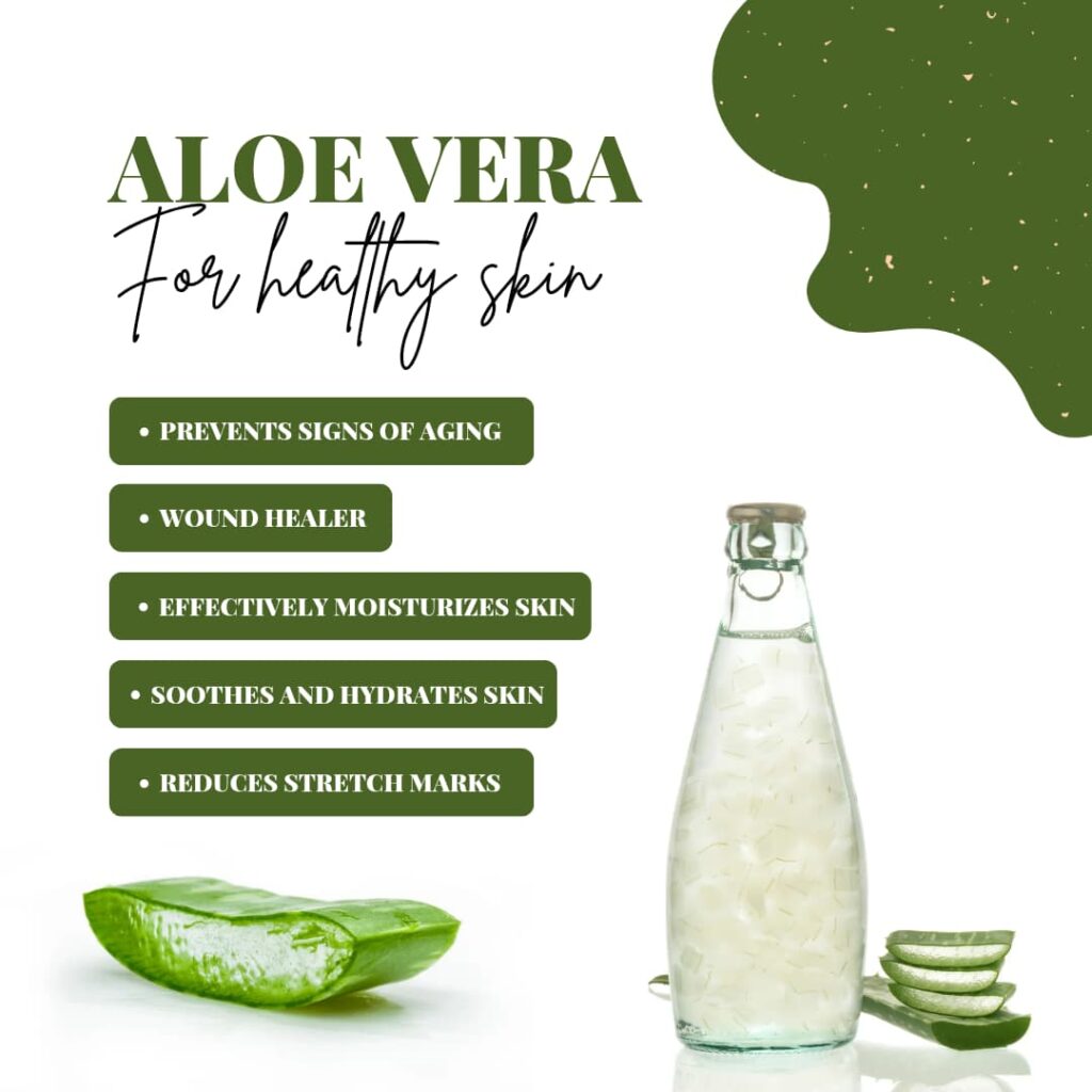 Aloe vera skin care