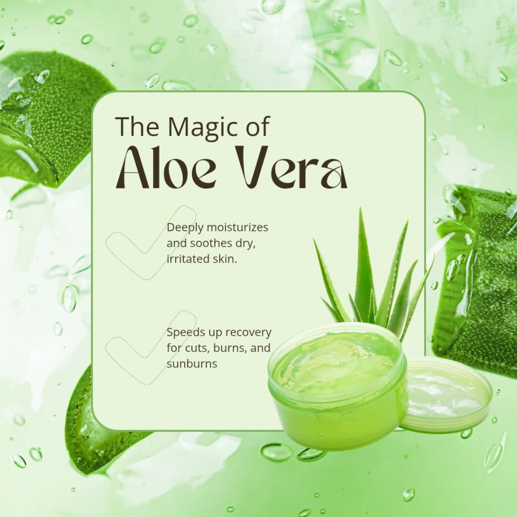 Aloe vera skin care